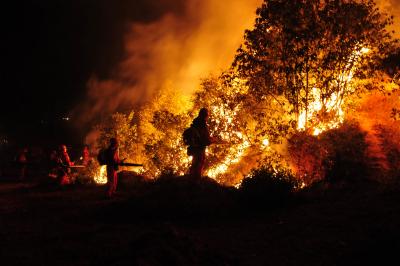 Hawaii wildfire: 385 people remain missing | Hawaii wildfire: 385 people remain missing Hawaii wildfire: 385 people remain missing | Hawaii wildfire: 385 people remain missing