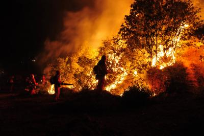 Firefighters battle wildfires in Croatia | Firefighters battle wildfires in Croatia Firefighters battle wildfires in Croatia | Firefighters battle wildfires in Croatia