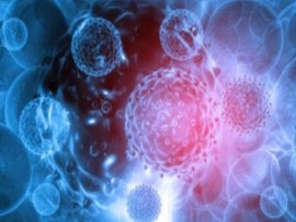 Scientists drive detailed study into how cancer cells spread | Scientists drive detailed study into how cancer cells spread