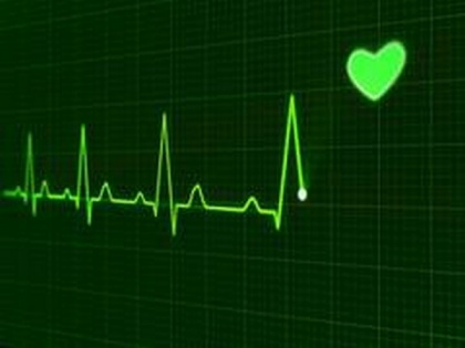 Researchers find a protein that helps heart heal | Researchers find a protein that helps heart heal