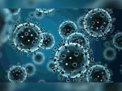 Study finds herpes checks into the nervous system to last long | Study finds herpes checks into the nervous system to last long