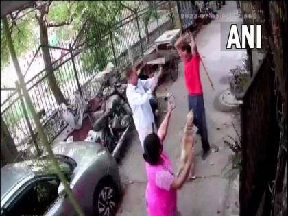 Animal cruelty: Enraged Delhi man hits dog with iron pipe | Animal cruelty: Enraged Delhi man hits dog with iron pipe