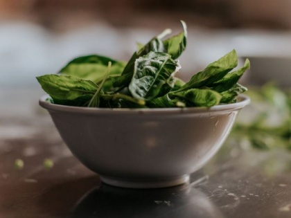 Decellularised spinach serves as edible platform for laboratory-grown meat | Decellularised spinach serves as edible platform for laboratory-grown meat