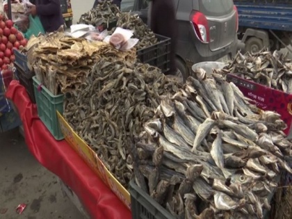 Traditional dry fish Hogard in great demand in Kashmir's winter | Traditional dry fish Hogard in great demand in Kashmir's winter
