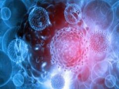 New study claims to boost international research efforts in finding cancer-eradicating drugs | New study claims to boost international research efforts in finding cancer-eradicating drugs