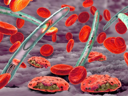 TB, malaria causing pathogens use force to breach immune defences: Study | TB, malaria causing pathogens use force to breach immune defences: Study TB, malaria causing pathogens use force to breach immune defences: Study | TB, malaria causing pathogens use force to breach immune defences: Study