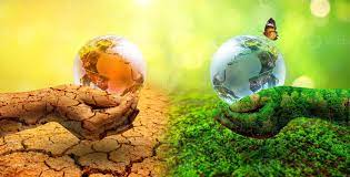 Climate change is experienced everyday, says Kerala Agriculture Minister | Climate change is experienced everyday, says Kerala Agriculture Minister Climate change is experienced everyday, says Kerala Agriculture Minister | Climate change is experienced everyday, says Kerala Agriculture Minister