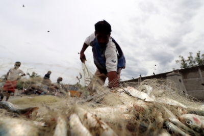 Indian fishermen attacked by Sri Lankan sea pirates | Indian fishermen attacked by Sri Lankan sea pirates Indian fishermen attacked by Sri Lankan sea pirates | Indian fishermen attacked by Sri Lankan sea pirates