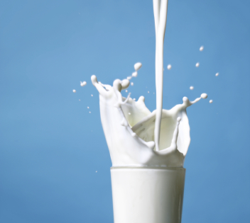 India’s dairy exports record 80 per cent jump in 2024-25 | India’s dairy exports record 80 per cent jump in 2024-25