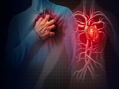 Acetylcholine can prevent inflammation in heart, blood vessels: Research | Acetylcholine can prevent inflammation in heart, blood vessels: Research