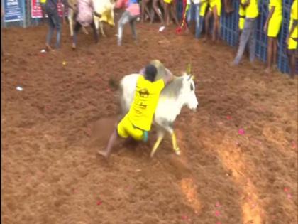 Jallikattu begins at Avaniyapuram village in Madurai | Jallikattu begins at Avaniyapuram village in Madurai