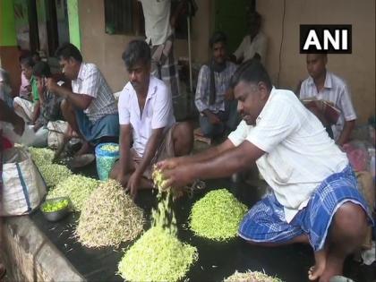 Jasmine prices soar across Tamil Nadu markets | Jasmine prices soar across Tamil Nadu markets