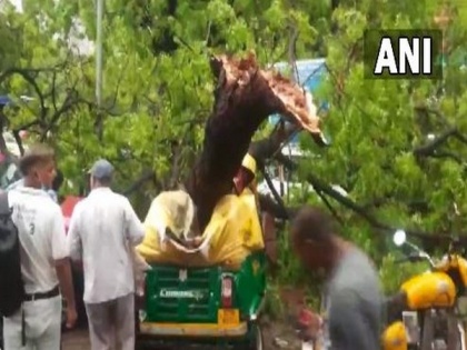 Delhi: Rain wreaks havoc, trees uprooted, cars damaged, man dies in Jama Masjid | Delhi: Rain wreaks havoc, trees uprooted, cars damaged, man dies in Jama Masjid