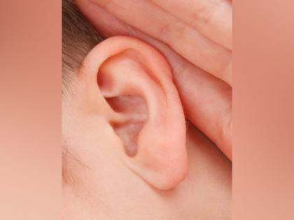Scientists develop new gene therapy for deafness | Scientists develop new gene therapy for deafness Scientists develop new gene therapy for deafness | Scientists develop new gene therapy for deafness