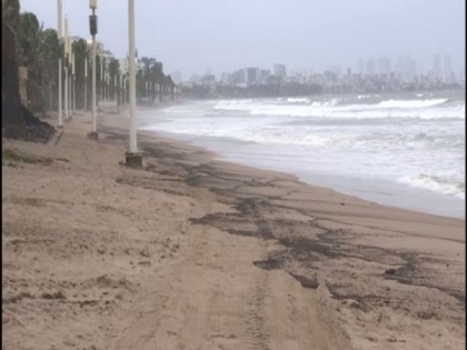 Sand at Mumbai's Juhu Beach turns black following oil spill | Sand at Mumbai's Juhu Beach turns black following oil spill
