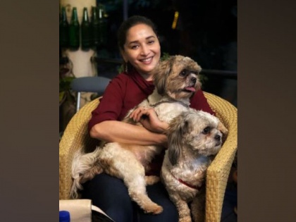 Madhuri Dixit proves she's a true blue 'puppy lover' in latest post | Madhuri Dixit proves she's a true blue 'puppy lover' in latest post