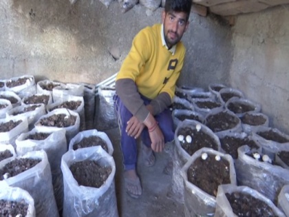 Young farmer from J-K's Rajouri wins award for organic mushroom farming | Young farmer from J-K's Rajouri wins award for organic mushroom farming