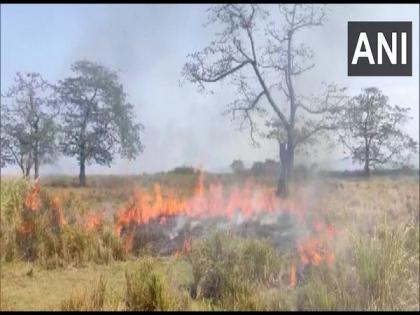Kaziranga National Park carries out controlled burning of forest | Kaziranga National Park carries out controlled burning of forest