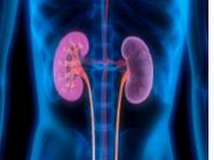 A new method that could offer a more accurate way to evaluate donor kidney quality | A new method that could offer a more accurate way to evaluate donor kidney quality