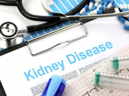 Study finds increased temperatures contribute to more kidney disease cases | Study finds increased temperatures contribute to more kidney disease cases