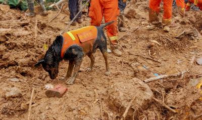 China landslide: 5 rescued, 9 still missing | China landslide: 5 rescued, 9 still missing