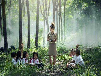 Better health - for people and the planet - grows on trees | Better health - for people and the planet - grows on trees Better health - for people and the planet - grows on trees | Better health - for people and the planet - grows on trees