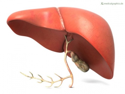 Study examines development of fatty liver disease under healthy diet | Study examines development of fatty liver disease under healthy diet