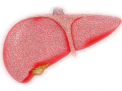 Highly accurate non-invasive test for major liver diseases created by researchers | Highly accurate non-invasive test for major liver diseases created by researchers