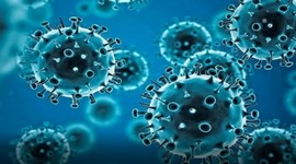 New vaccines best defence for 65 mn people suffering long Covid, says experts | New vaccines best defence for 65 mn people suffering long Covid, says experts New vaccines best defence for 65 mn people suffering long Covid, says experts | New vaccines best defence for 65 mn people suffering long Covid, says experts