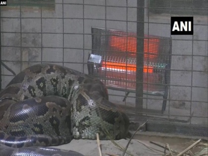 Cold spell: Lucknow zoo install heaters, gives blankets to animals | Cold spell: Lucknow zoo install heaters, gives blankets to animals