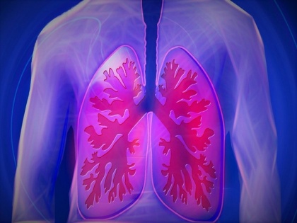 Study suggests CBD helps reduce lung damage from COVID | Study suggests CBD helps reduce lung damage from COVID