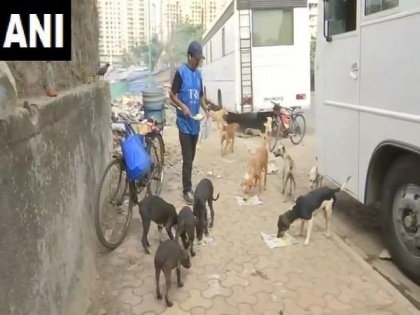 Mumbai man feeds street dogs amid coronavirus lockdown | Mumbai man feeds street dogs amid coronavirus lockdown