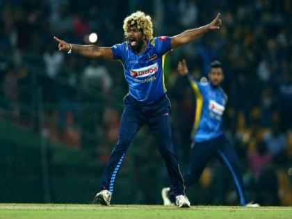 Lasith Malinga appointed as SL's bowling strategy coach for white-ball series against Australia | Lasith Malinga appointed as SL's bowling strategy coach for white-ball series against Australia
