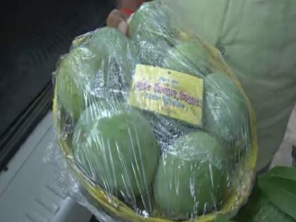 Bihar: Nitish govt distributes mangoes to MLAs, faces flak from RJD | Bihar: Nitish govt distributes mangoes to MLAs, faces flak from RJD Bihar: Nitish govt distributes mangoes to MLAs, faces flak from RJD | Bihar: Nitish govt distributes mangoes to MLAs, faces flak from RJD