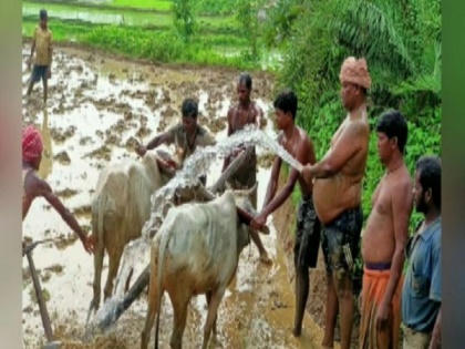 Jharkhand Minister ploughs field at his native village | Jharkhand Minister ploughs field at his native village