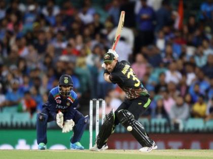 Ind vs Aus, 3rd T20I: Wade, Maxwell power hosts to competitive 186/5 | Ind vs Aus, 3rd T20I: Wade, Maxwell power hosts to competitive 186/5