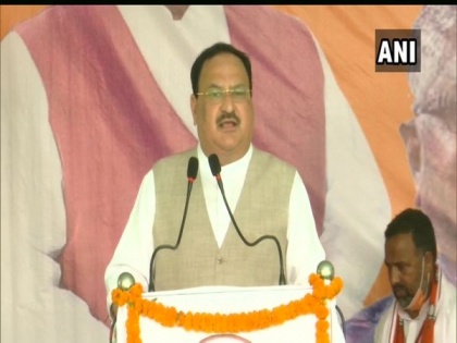Borders of country secure under PM Modi's leadership: JP Nadda | Borders of country secure under PM Modi's leadership: JP Nadda