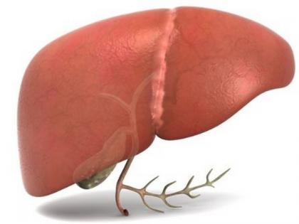 Zydus announces world's first drug for treatment of NASH | Zydus announces world's first drug for treatment of NASH Zydus announces world's first drug for treatment of NASH | Zydus announces world's first drug for treatment of NASH