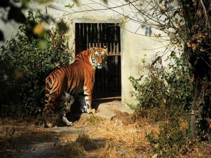 Nepal's Central Zoo opens after 8 months with COVID precautions | Nepal's Central Zoo opens after 8 months with COVID precautions Nepal's Central Zoo opens after 8 months with COVID precautions | Nepal's Central Zoo opens after 8 months with COVID precautions