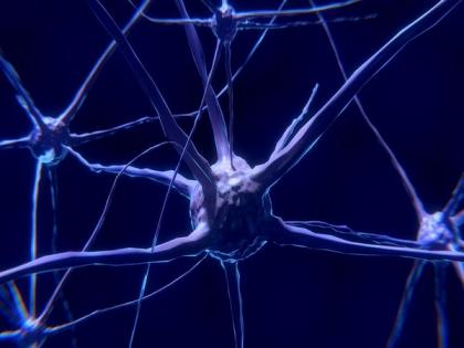 Scientists develop tiny, wireless, battery-free device to track brain activity | Scientists develop tiny, wireless, battery-free device to track brain activity