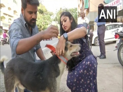 With fluorescent collars, this Hyderabad-based NGO is trying to save stray animals | With fluorescent collars, this Hyderabad-based NGO is trying to save stray animals
