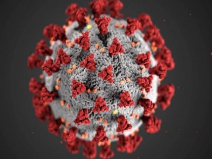 Researchers reveal global 'hot spots' where new coronaviruses may emerge | Researchers reveal global 'hot spots' where new coronaviruses may emerge