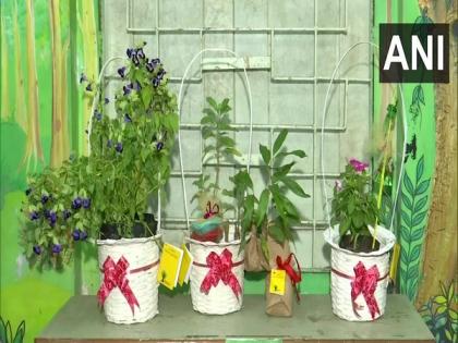 This Diwali, gift plantsi - Bhubaneswar-based foundation runs campaign to encourage people | This Diwali, gift plantsi - Bhubaneswar-based foundation runs campaign to encourage people This Diwali, gift plantsi - Bhubaneswar-based foundation runs campaign to encourage people | This Diwali, gift plantsi - Bhubaneswar-based foundation runs campaign to encourage people