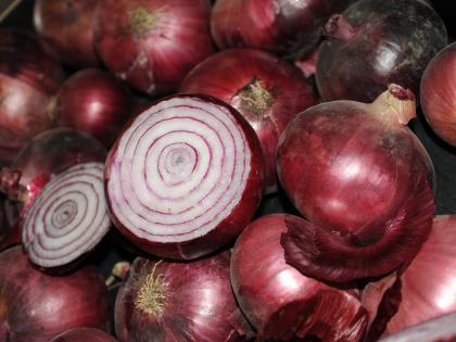 Govt notifies minimum export price of $800 per metric tonne on onion | Govt notifies minimum export price of $800 per metric tonne on onion Govt notifies minimum export price of $800 per metric tonne on onion | Govt notifies minimum export price of $800 per metric tonne on onion