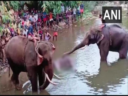 Man arrested in Kerala elephant death case: State Forest Minister | Man arrested in Kerala elephant death case: State Forest Minister