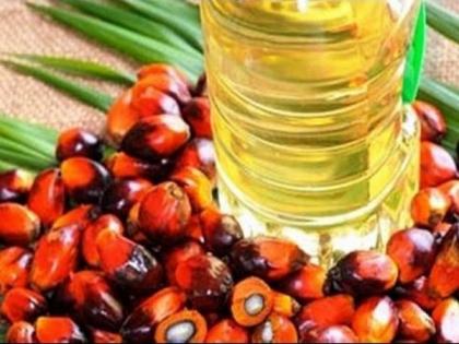 Huge edible oil imports compromise India's interest, imperative to become self-reliant: Report | Huge edible oil imports compromise India's interest, imperative to become self-reliant: Report Huge edible oil imports compromise India's interest, imperative to become self-reliant: Report | Huge edible oil imports compromise India's interest, imperative to become self-reliant: Report