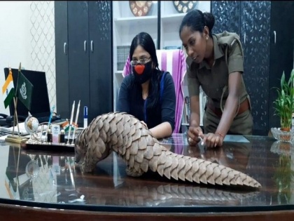 Forest Deptt rescues Pangolin from a COVID-19 quarantine centre in Odisha | Forest Deptt rescues Pangolin from a COVID-19 quarantine centre in Odisha