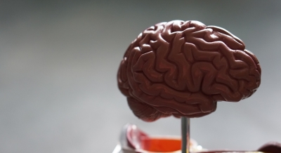 Intense exercise may help keep Parkinson's disease at bay | Intense exercise may help keep Parkinson's disease at bay