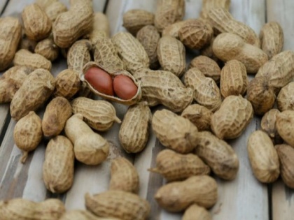 Study finds peanuts may lower cardiovascular disease risk among people | Study finds peanuts may lower cardiovascular disease risk among people