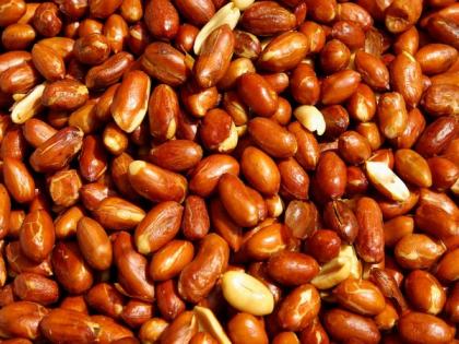 Peanut treatment lowers risk of severe allergic reactions in preschoolers | Peanut treatment lowers risk of severe allergic reactions in preschoolers Peanut treatment lowers risk of severe allergic reactions in preschoolers | Peanut treatment lowers risk of severe allergic reactions in preschoolers
